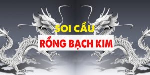 soi cầu rồng bạch kim